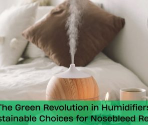 The Green Revolution in Humidifiers_ Sustainable Choices for Nosebleed Relief